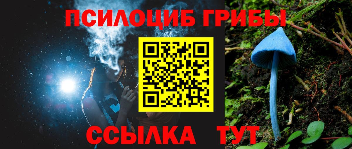 Галлюциногенные грибы Magic Shrooms  Псилоцибиновые грибы Magic Shrooms  Сибай  Вход с VPN 